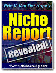 The Niche Report Revealed eZine/blog